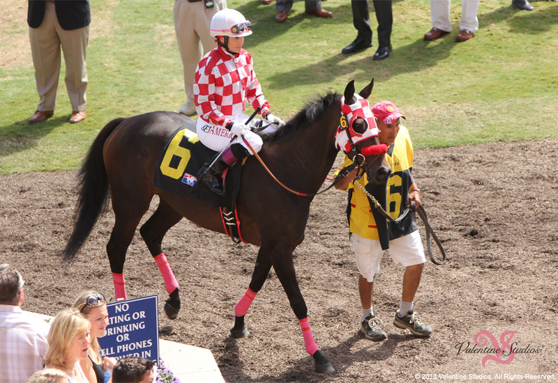 Location photo shoot with female jockey Chantal Sutherland in the paddock at the Del Mar Race Track.