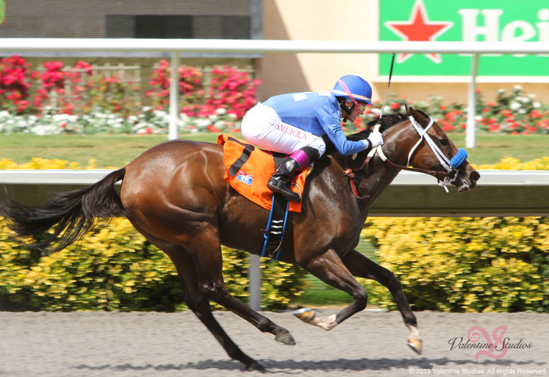 Location photo shoot with female jockey Chantal Sutherland taking the win down the stretch at the Del Mar Race Track.